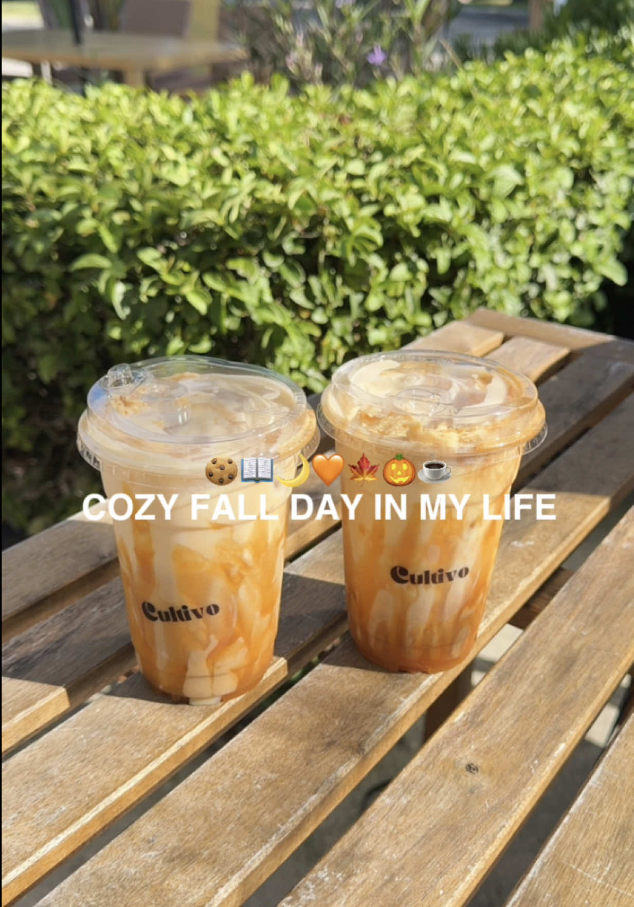 @Amyah P