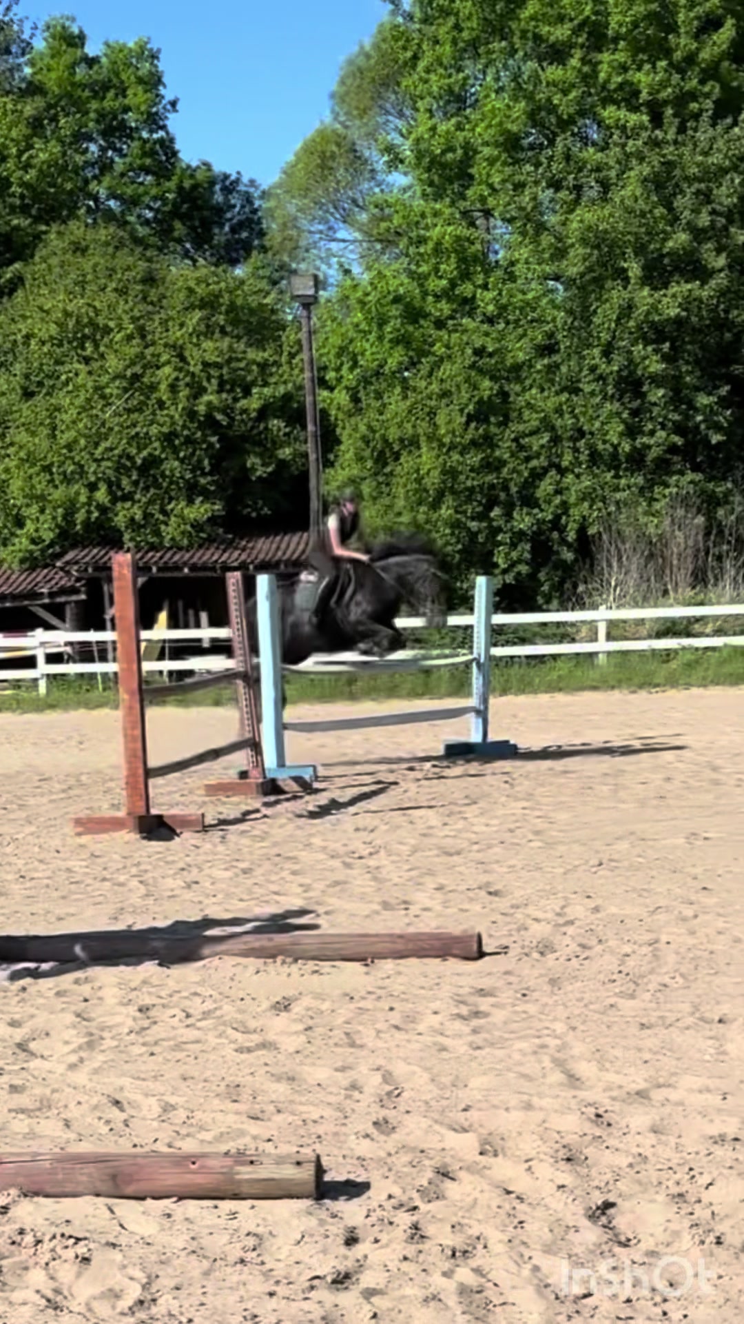 @💋🐴