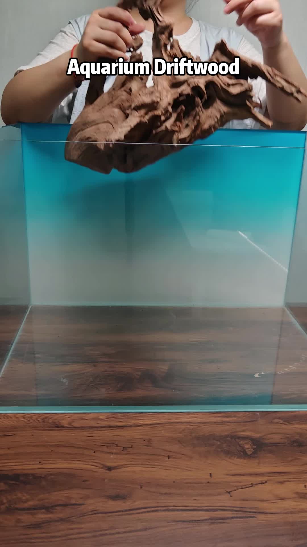 @AquaBunny