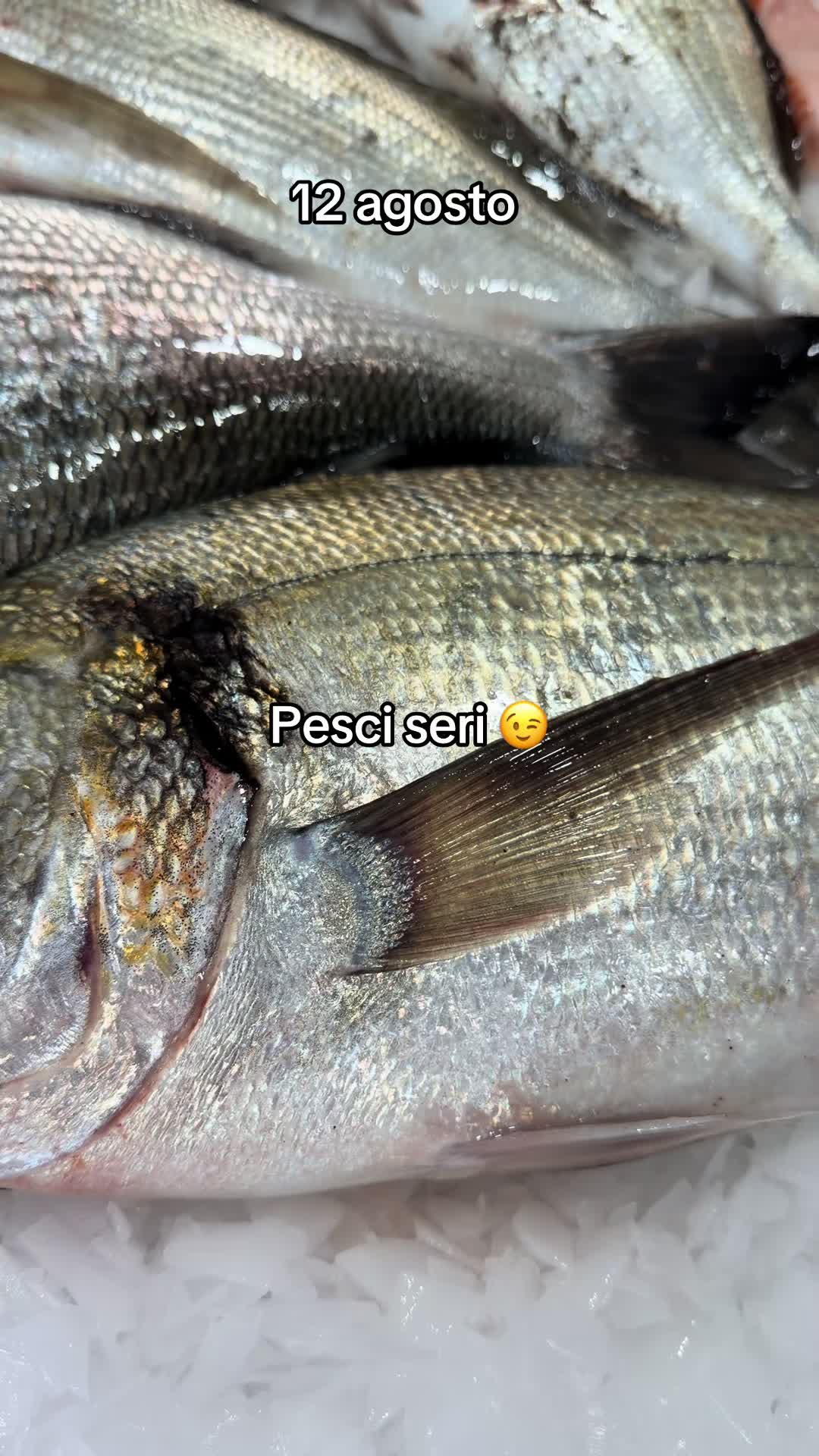 @Pescheria F.LLI D’Andria 68º