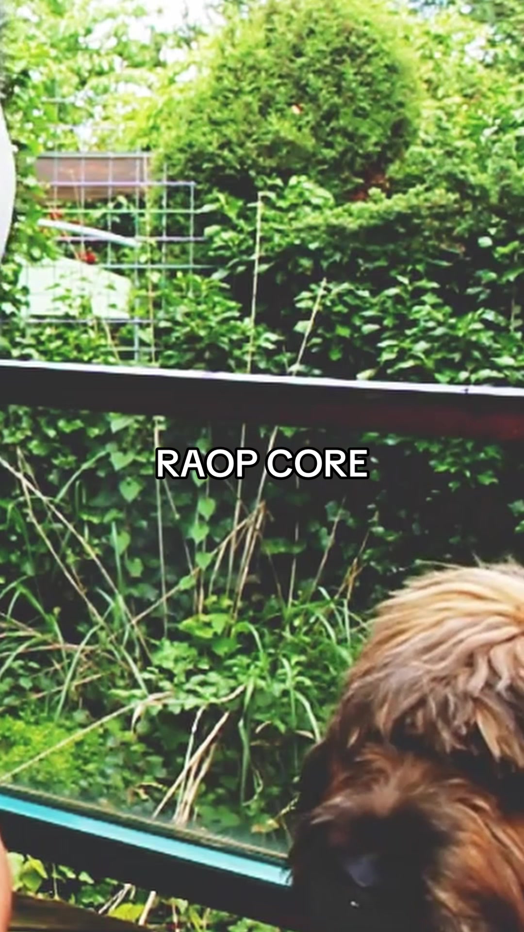 @CRO