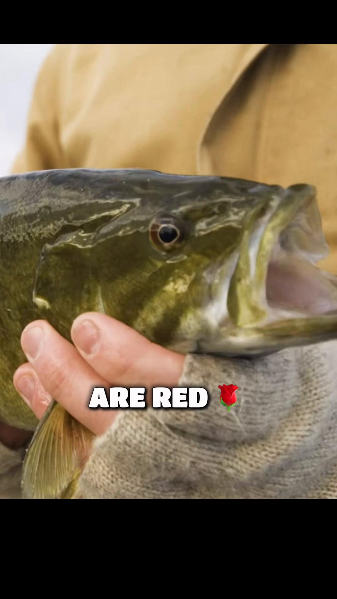 @Dave