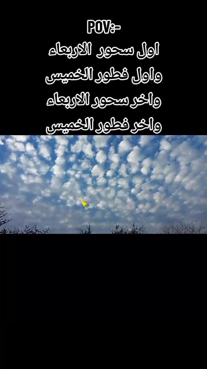 @°♡سنابل♡°