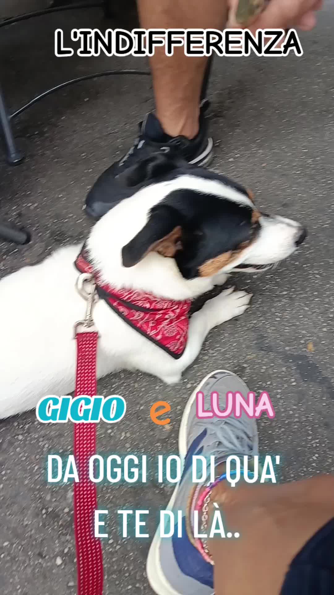 @simo♥️
