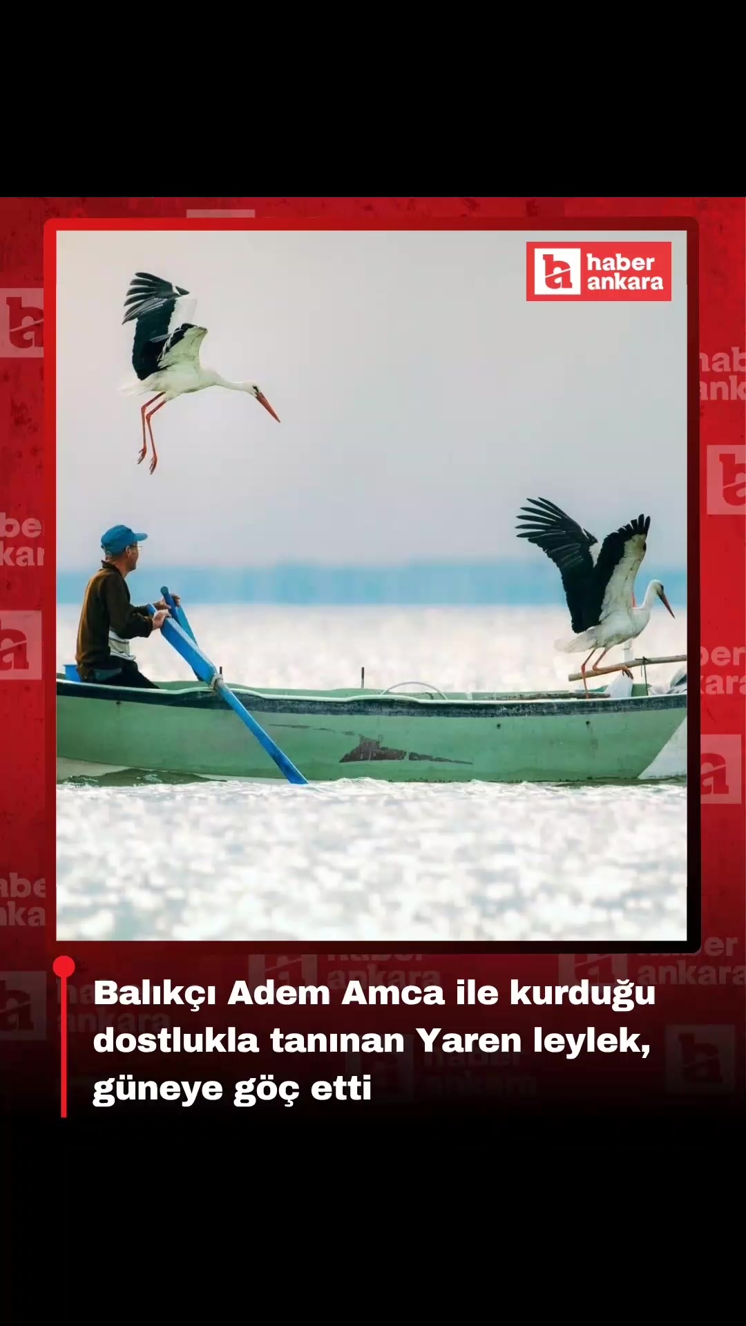 @Haber Ankara