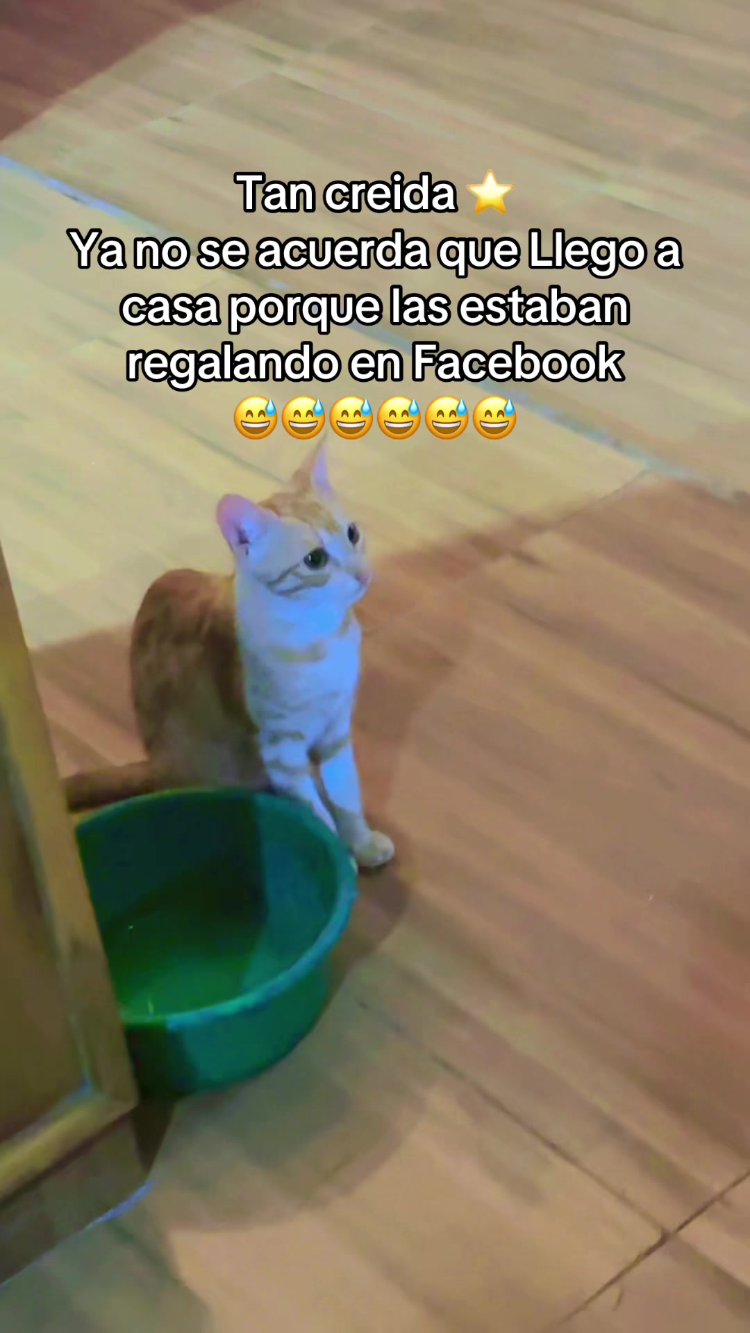 @Mirian Ramos