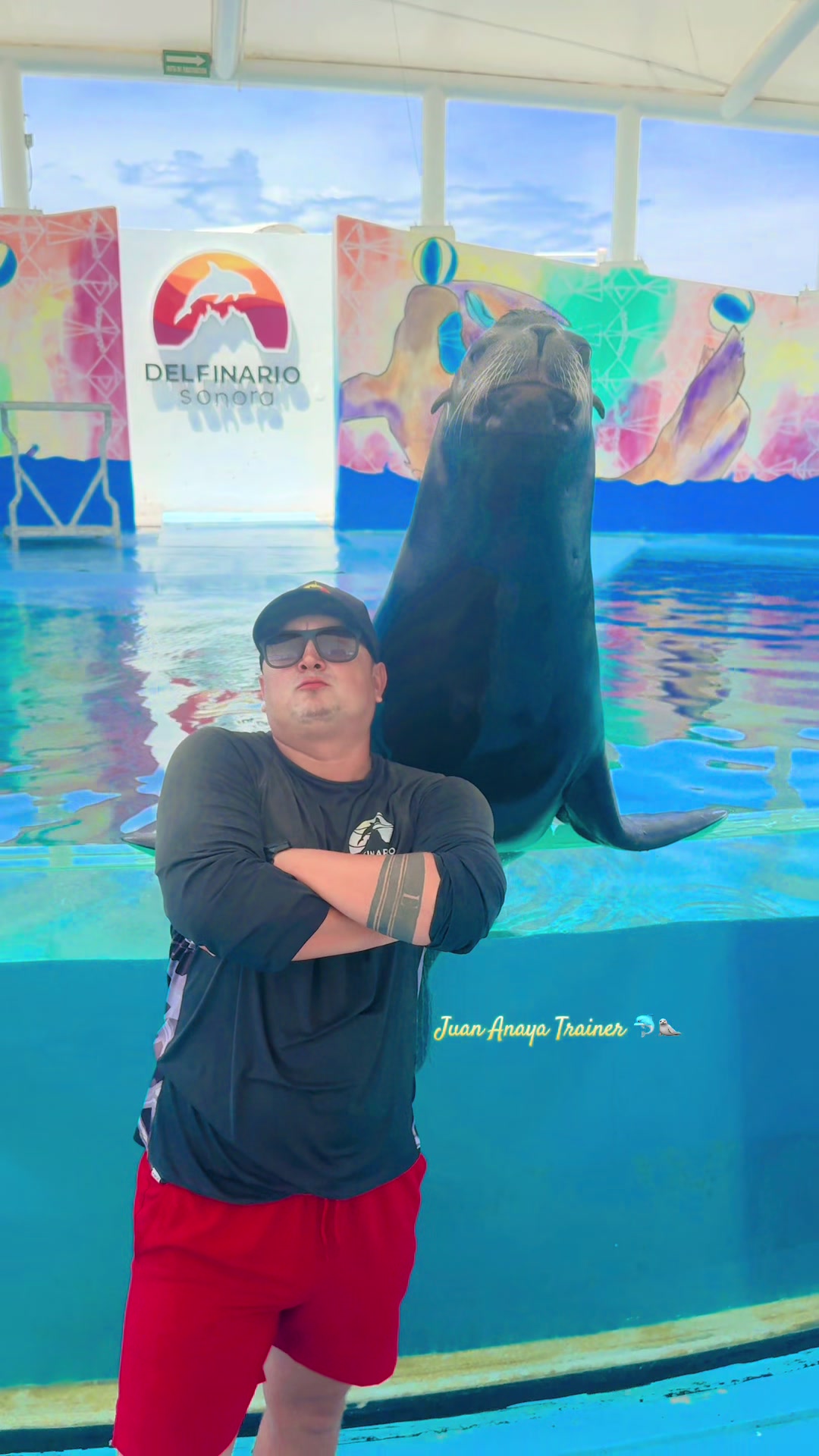 @Juan Anaya Trainer 🐬🦭