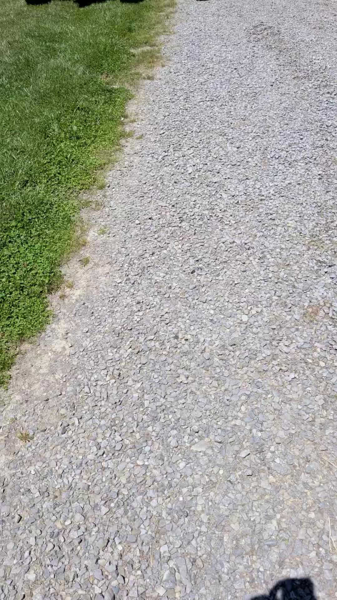 @that 5.9 Cummins