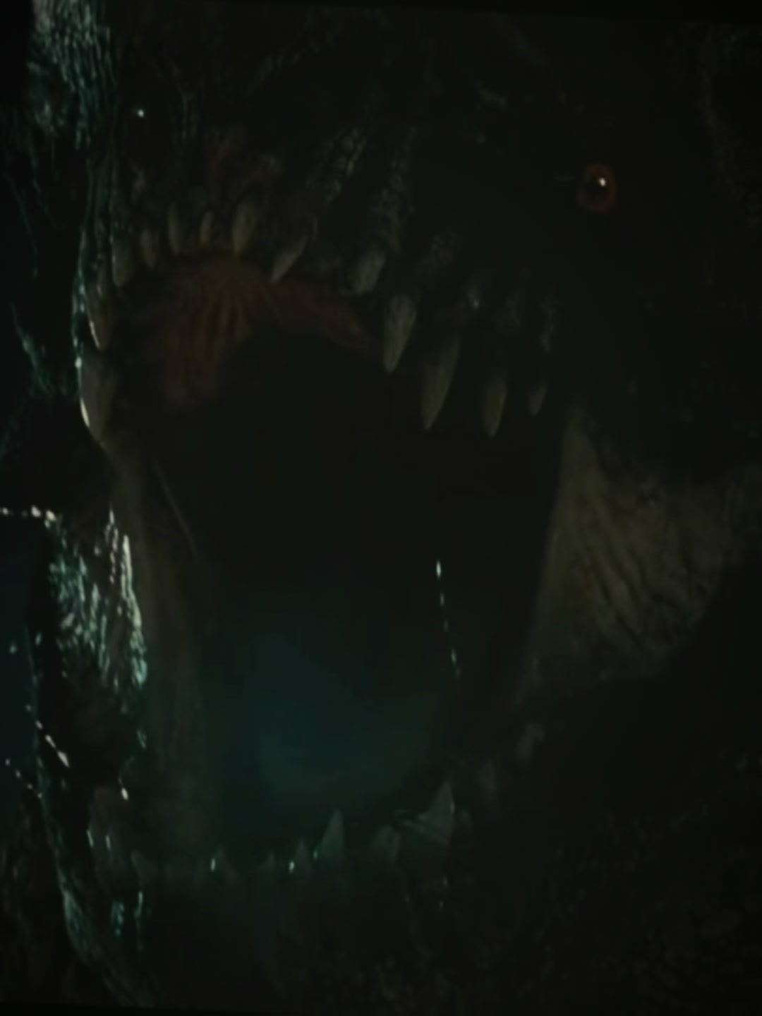 @Anthony Mitchell 🦖🔥real name