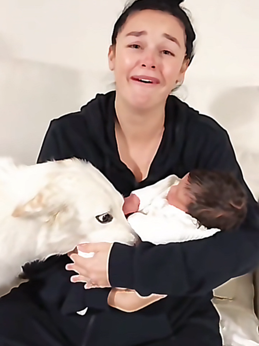 @dogmomentsdaily