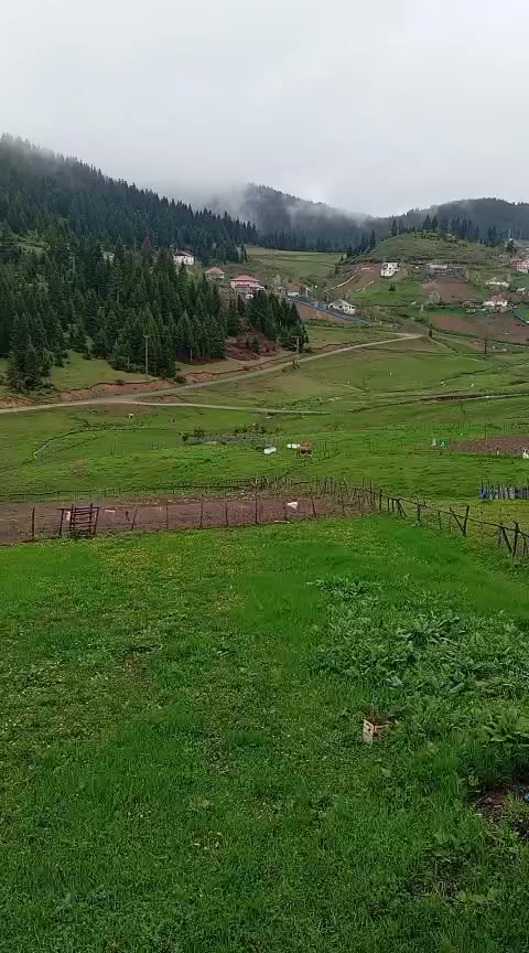 @ORDU'NUN ASİ KIZI