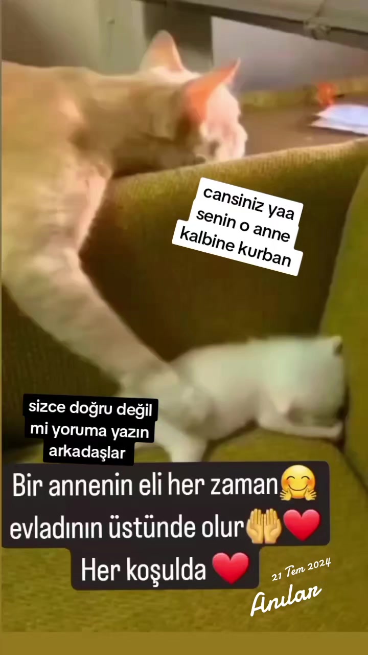 @gamzeli kızı 😊 minnoşlari
