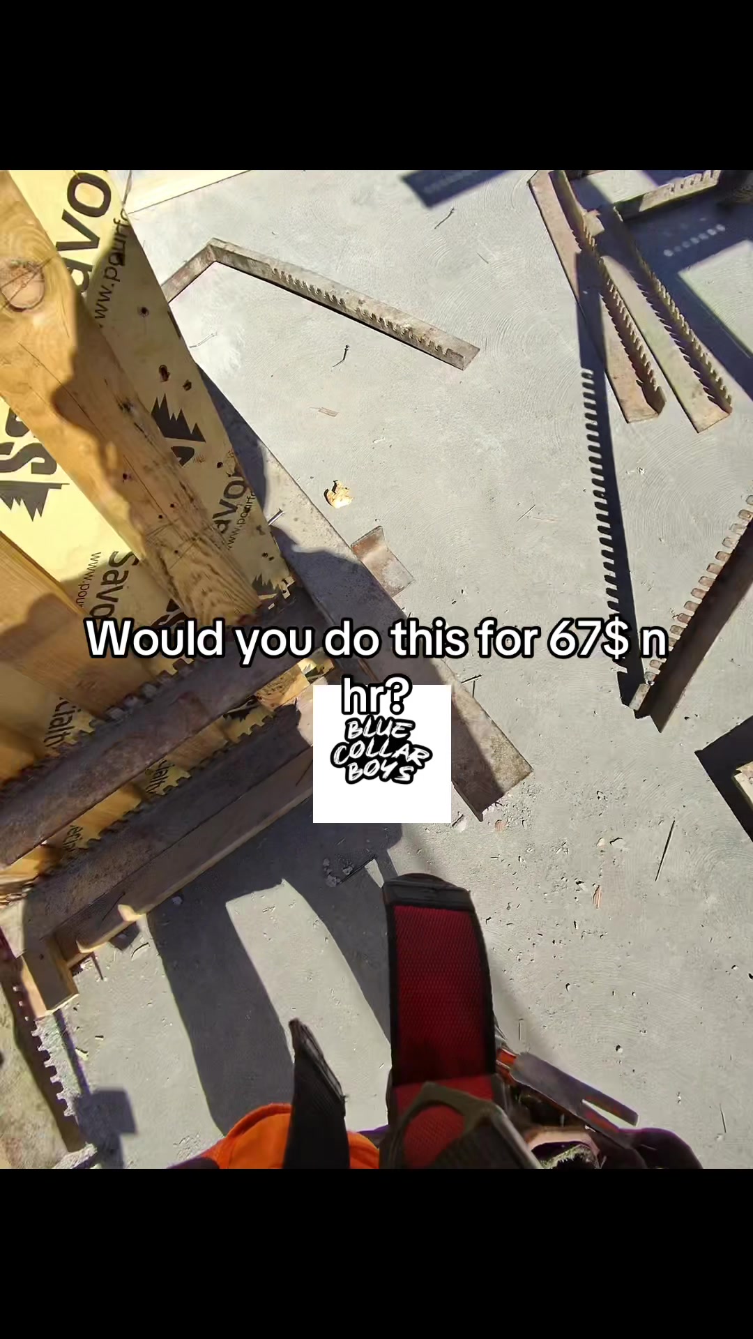 @bluecollarboys