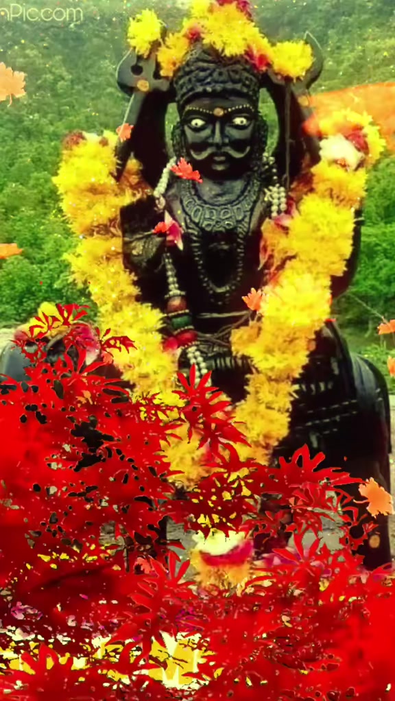 @Sunilyadav