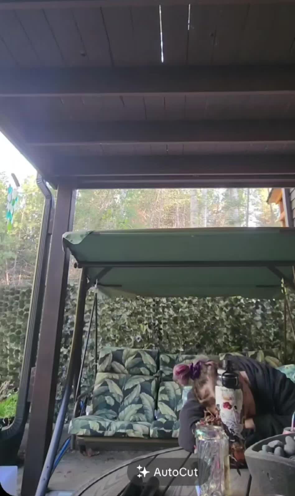 @maddawgmoody