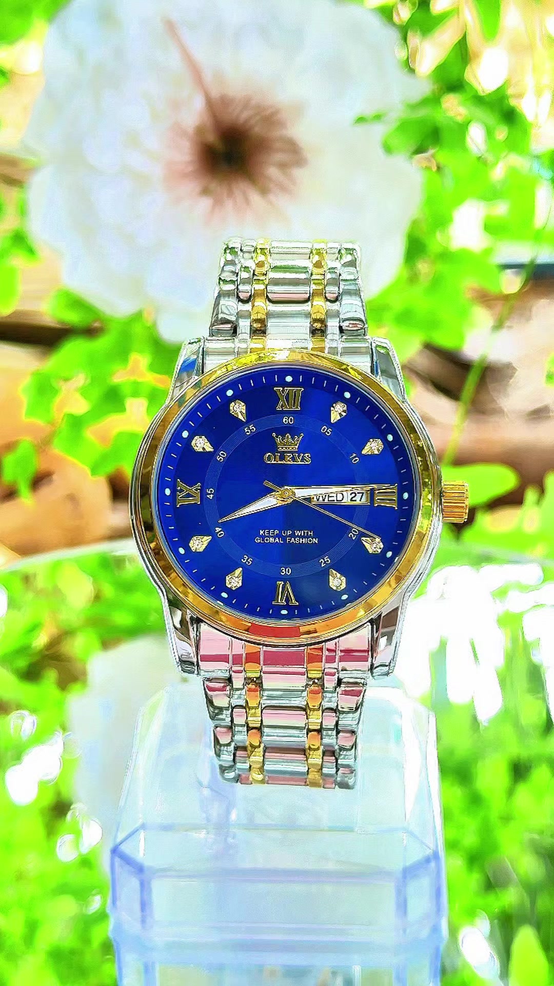 @LanLan-WATCH✅