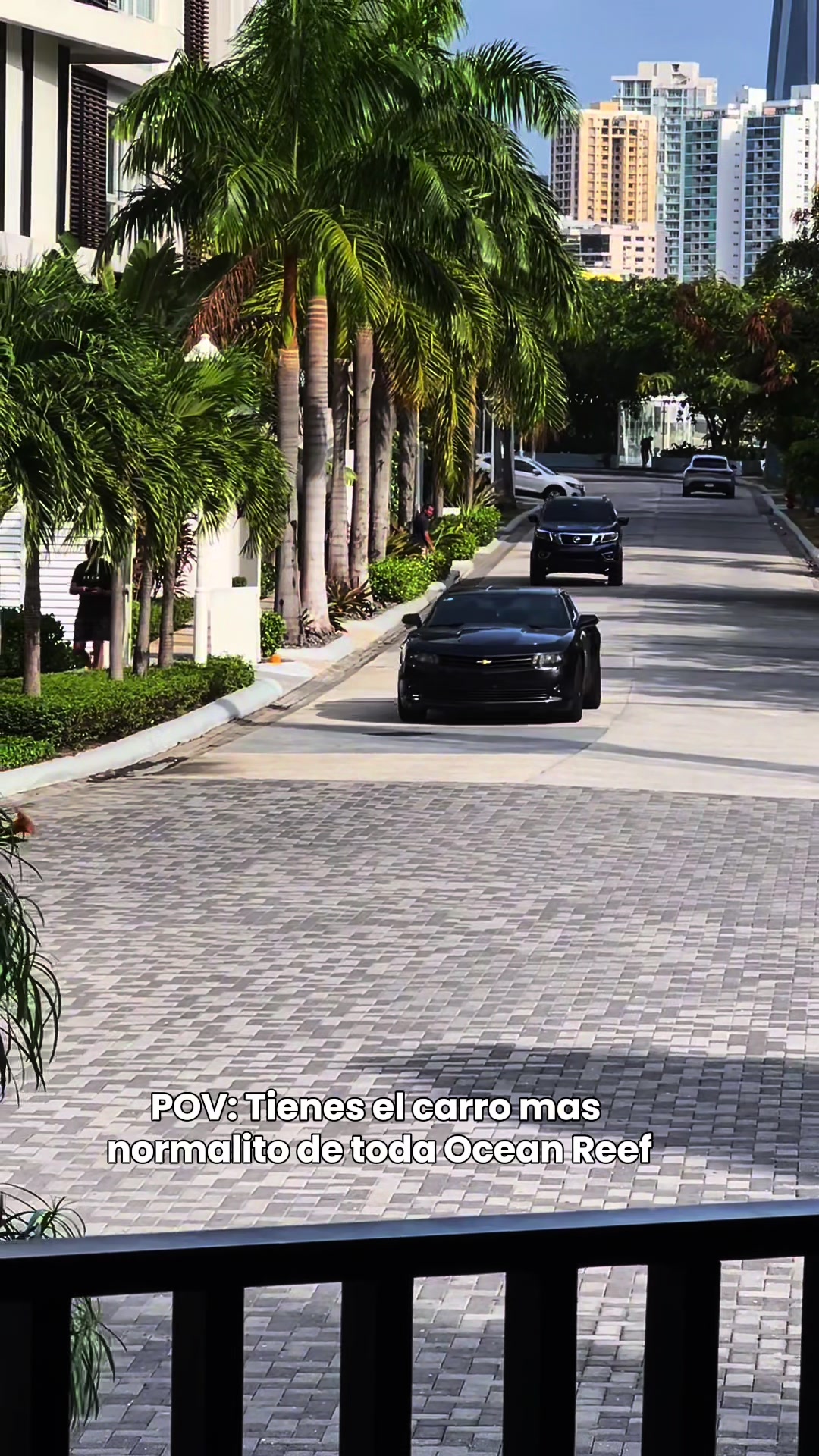 @Red Camaro👺