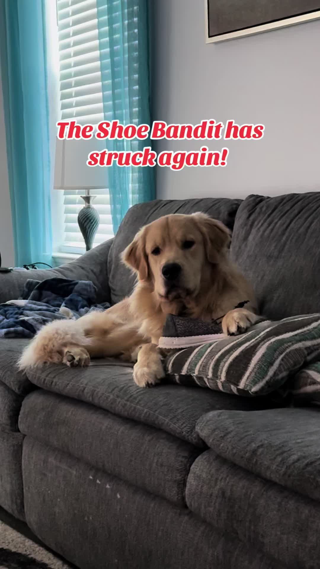 @Tucker_tha_Golden