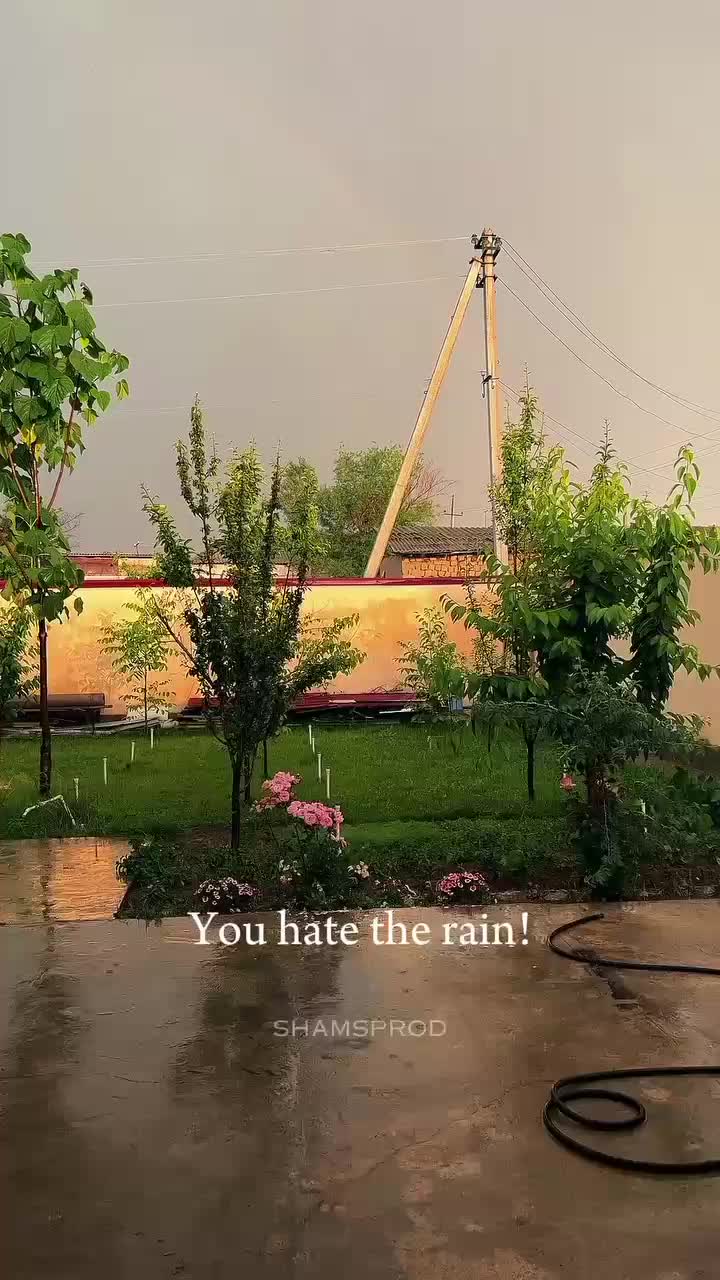 @zayanphotography1