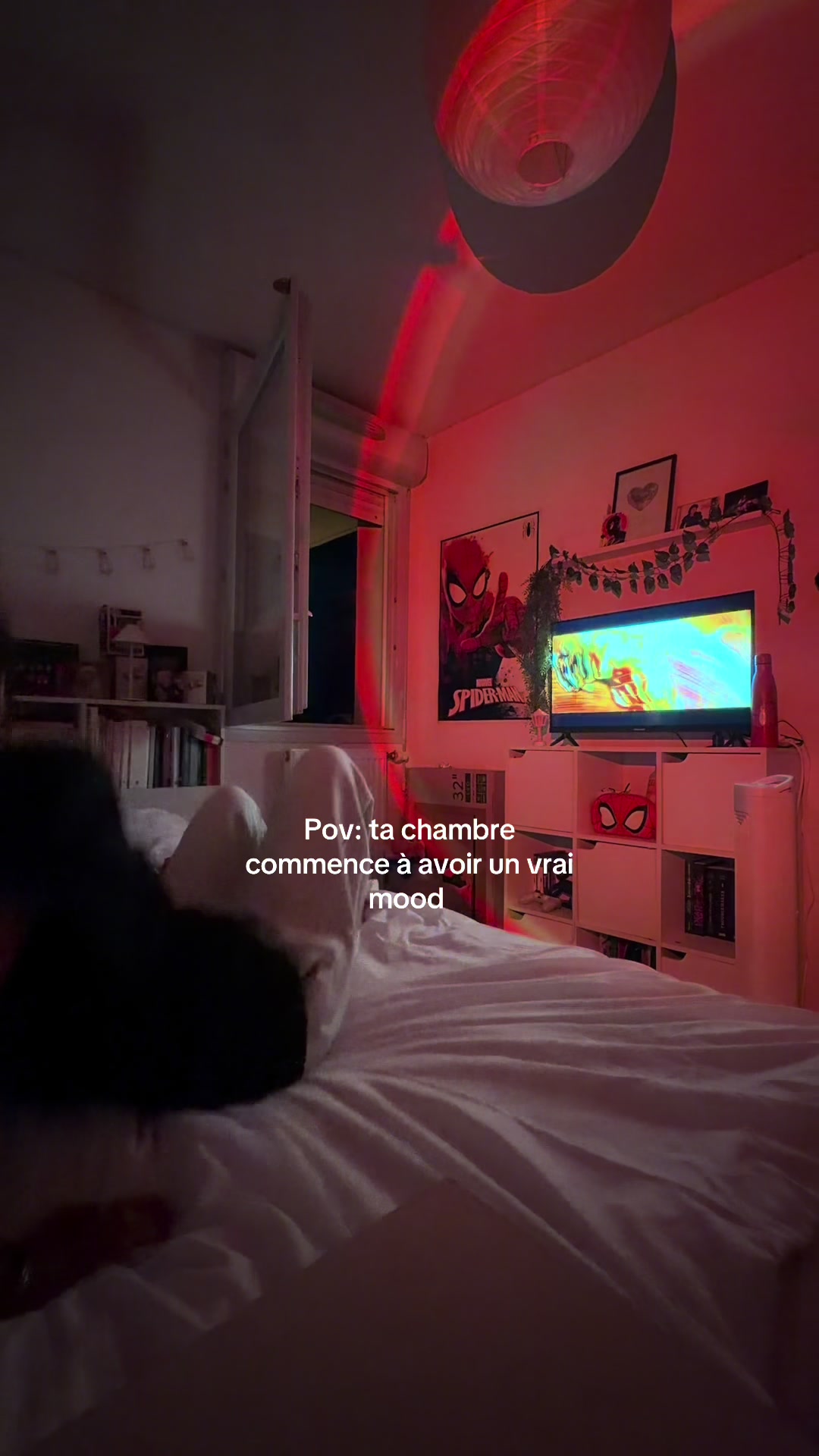 @S🐈&zwj;⬛