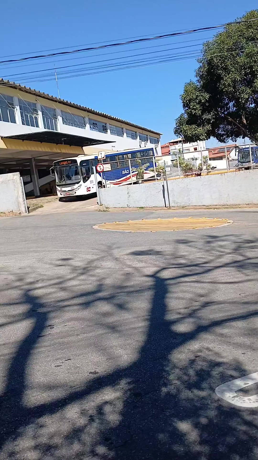 @Anynha Auxiliar de 🚍