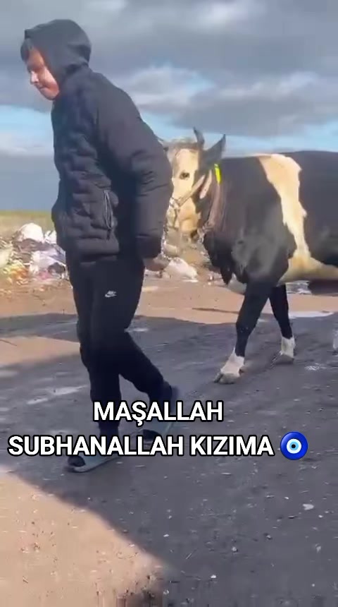 @B&Uuml;Y&Uuml;KBAŞ HAYVANCILIK