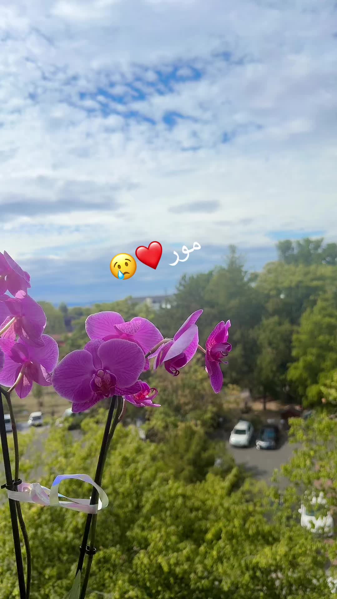 @Leema azizi