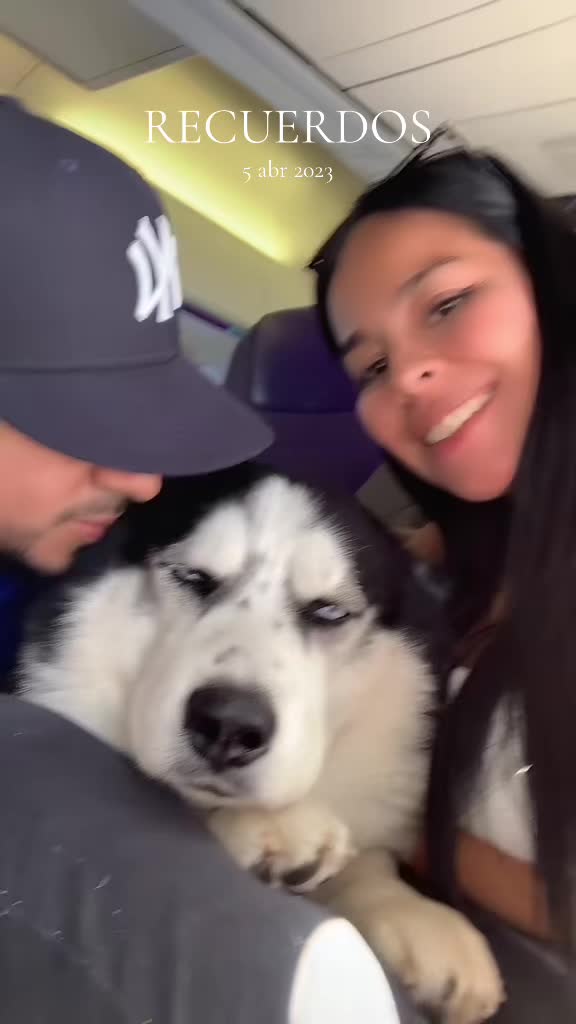 @Daily Melisa Herrera