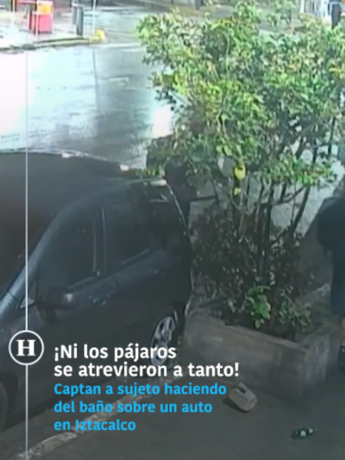 @elheraldodemexico