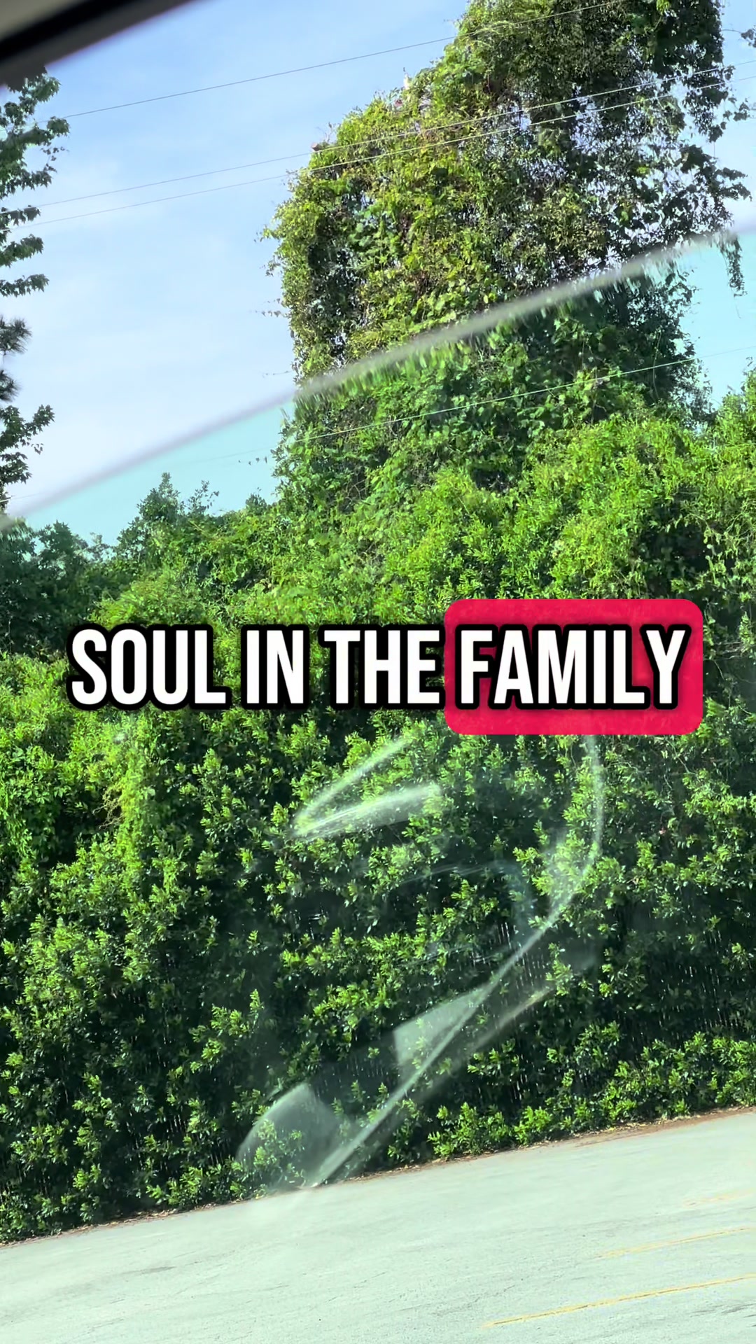 @MotivationToWealth