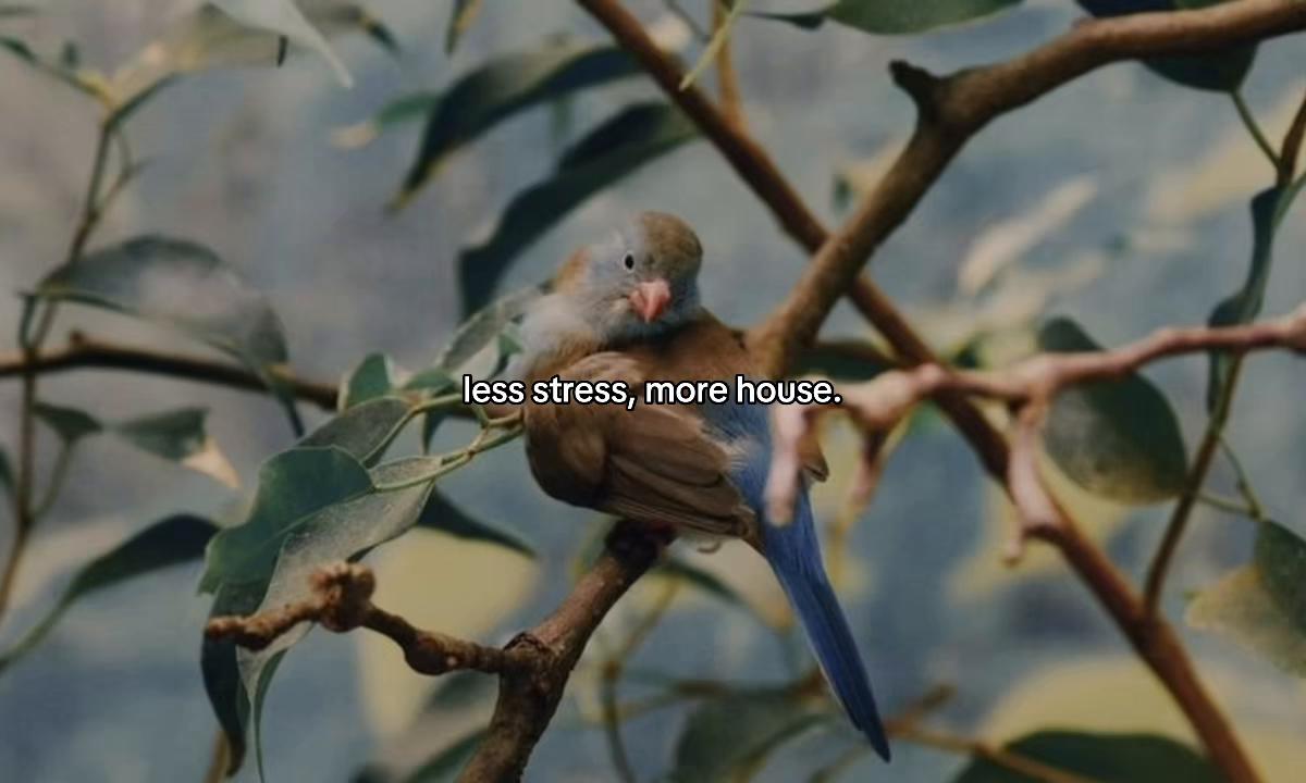 @housemusicarchive