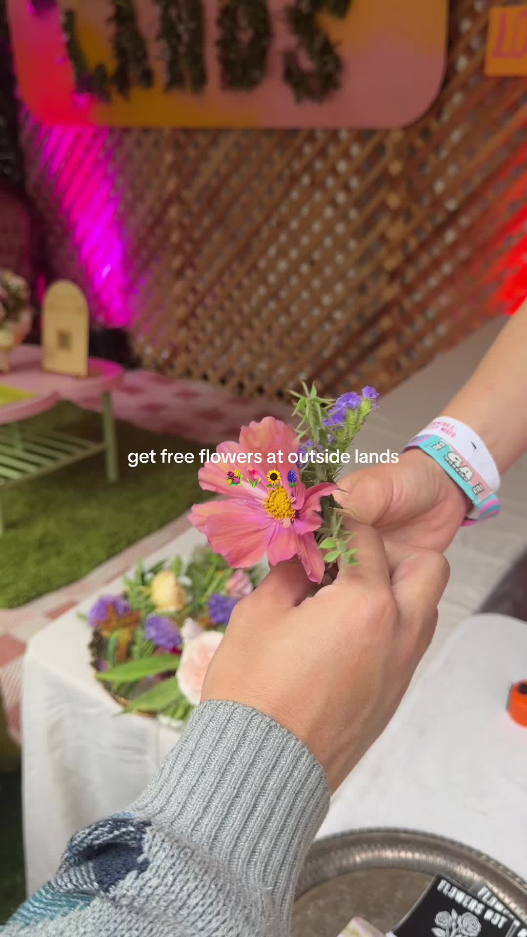 @Lauren⋆𝜗𝜚⋆