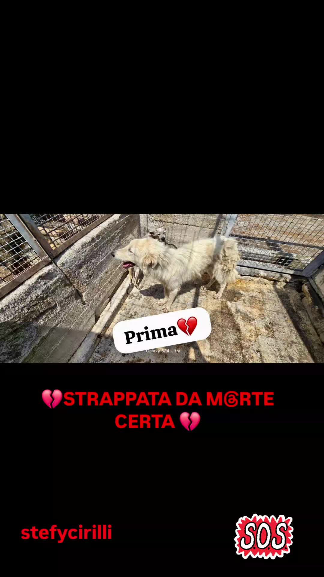 @Stefy Cirilli