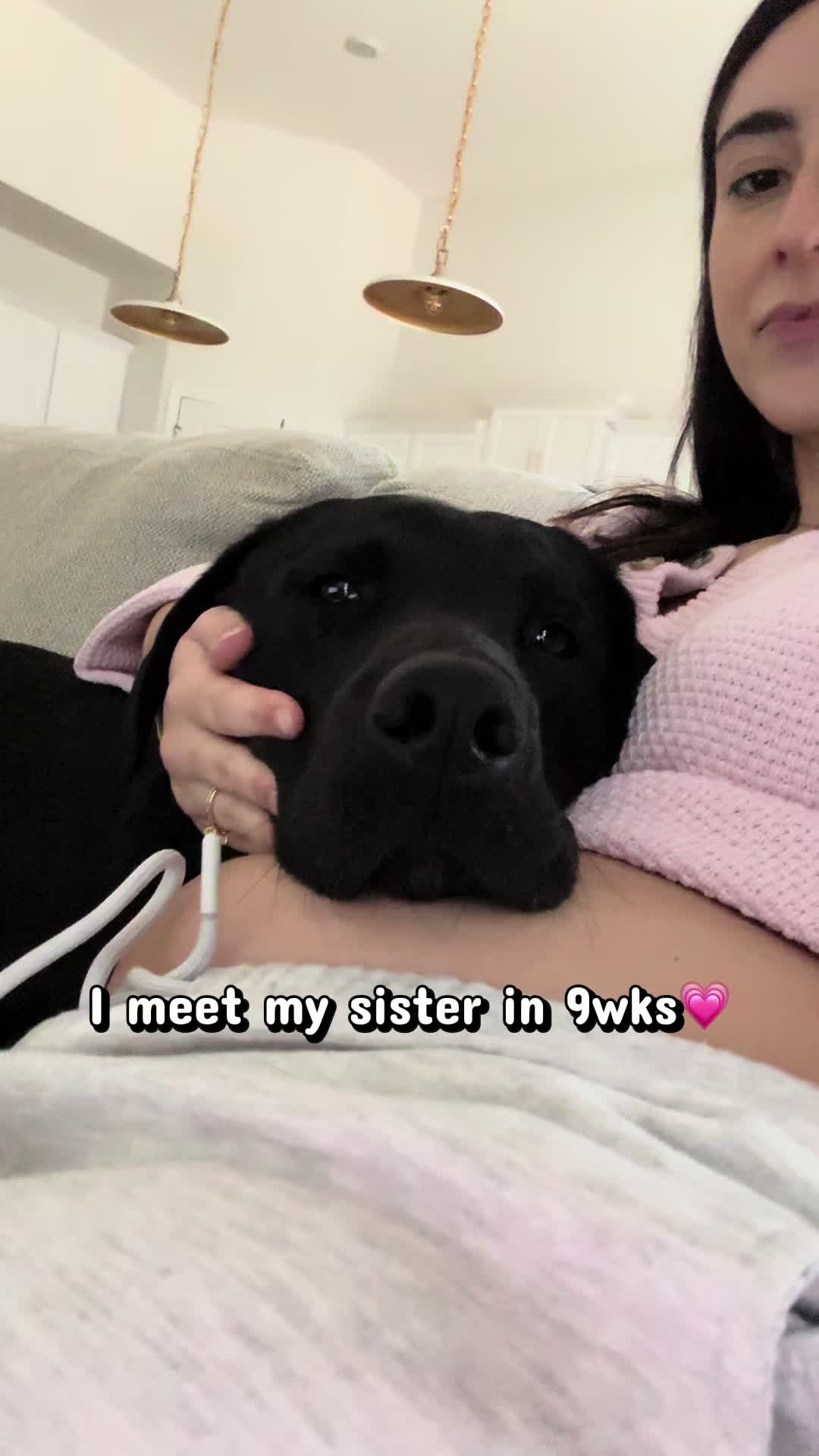 @ghostblacklab