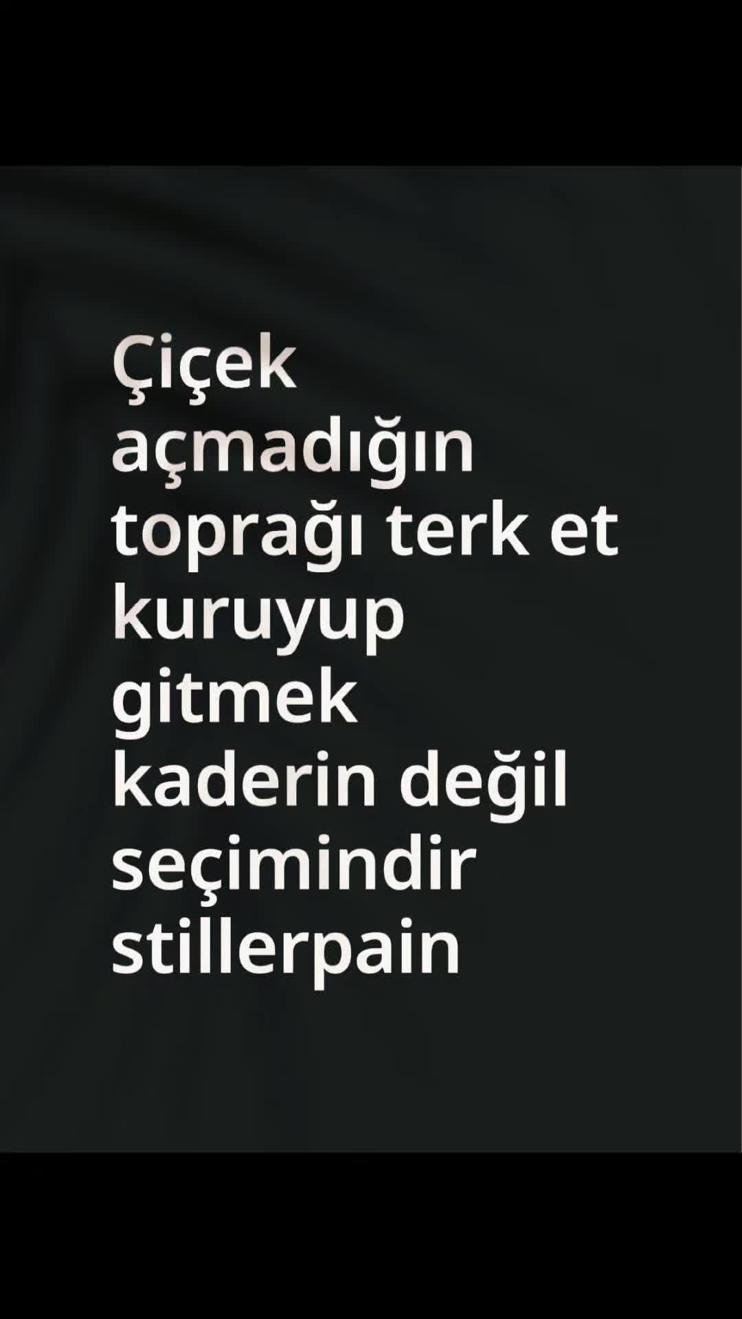 @stillerpain