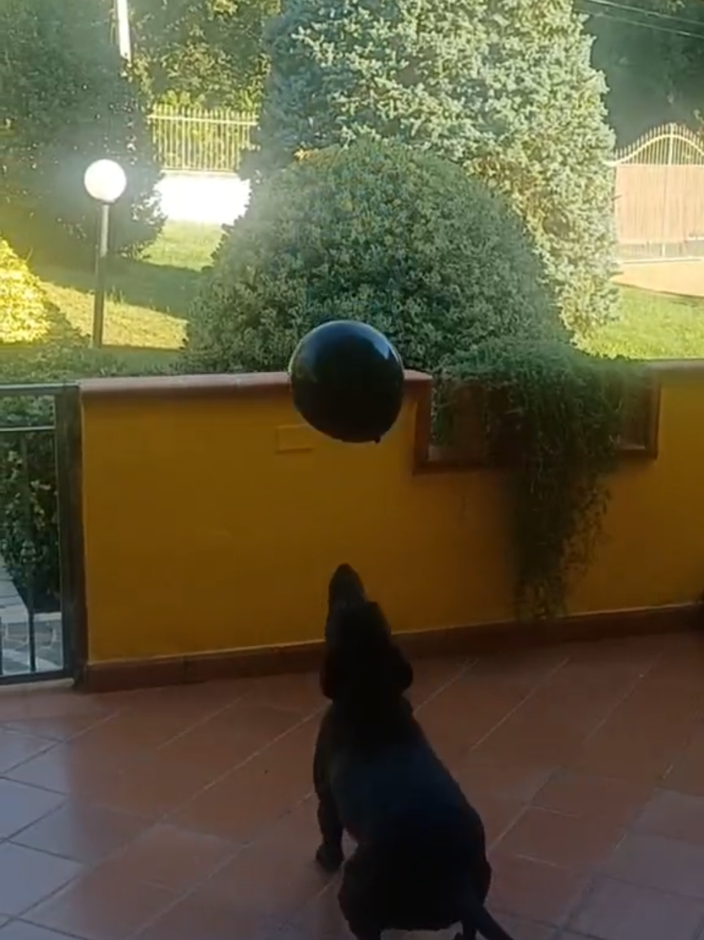 @Azzurra Ponziani