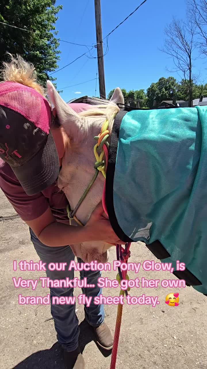 @Small Town Farm LLC