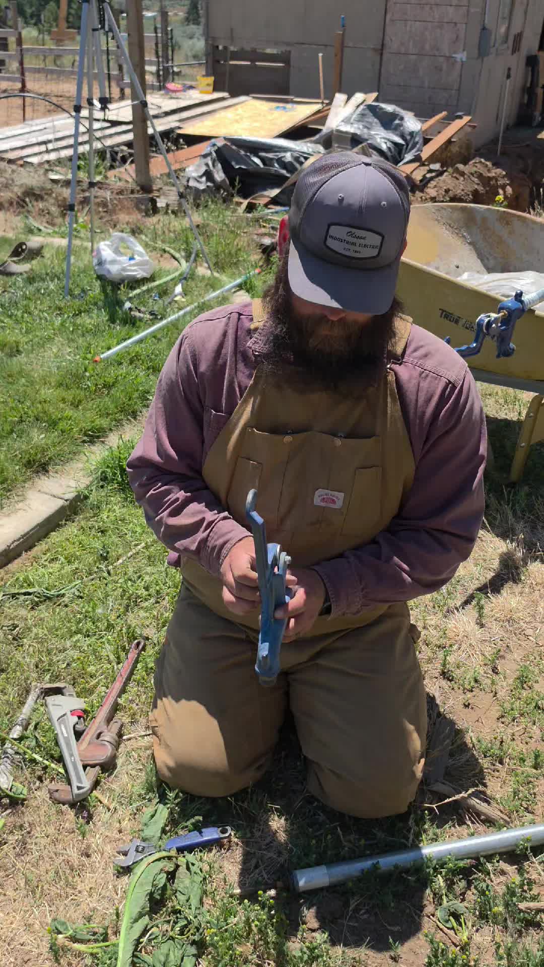 @thebeardedfamily1