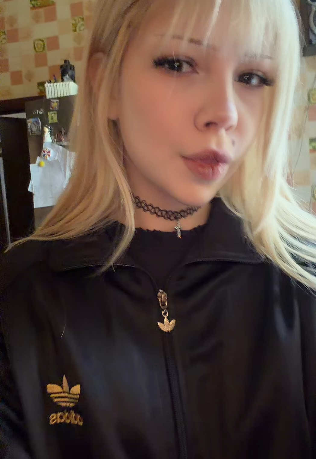 @augushaa