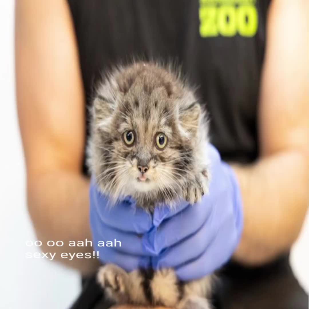 @коф
