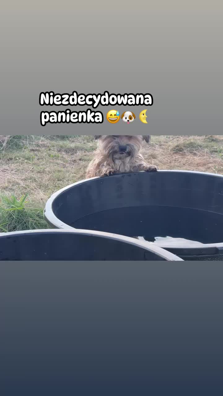 @KsiężycowaStajnia.VulkaDollArt