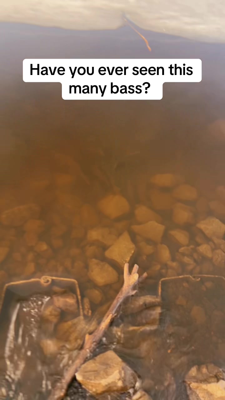 @Hammillfishing