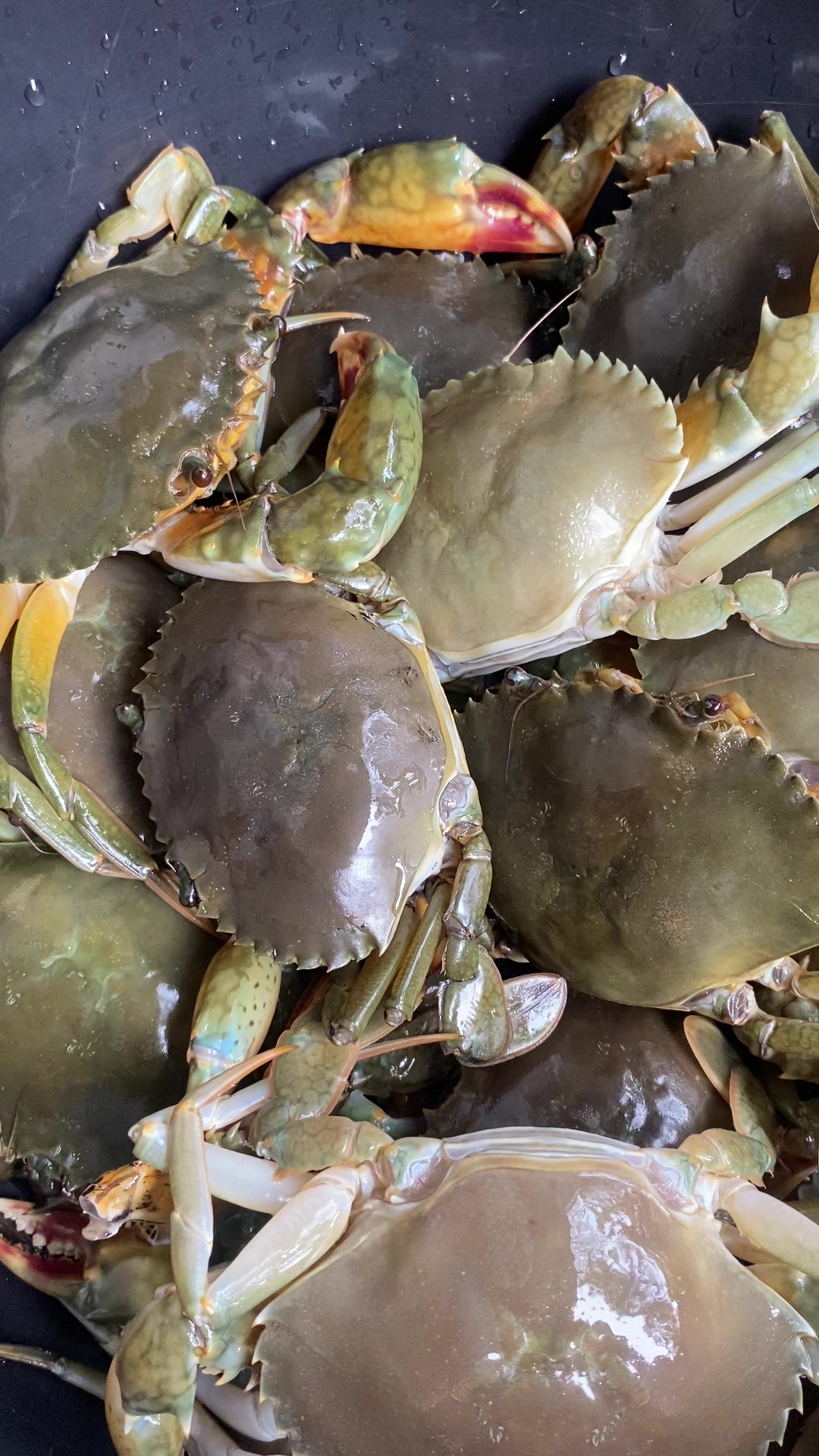 @BaksoBalungan&SeblakTehHani23