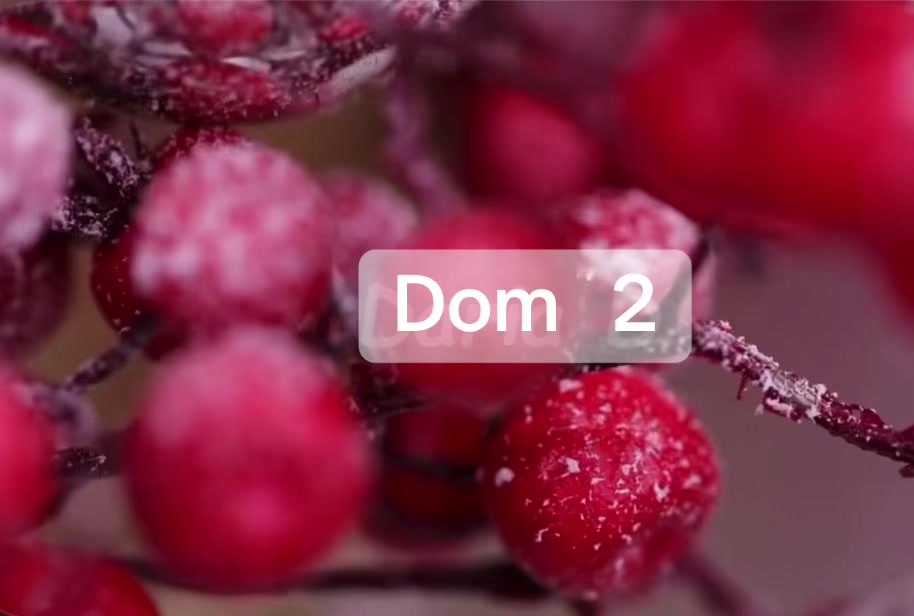 @Dom2