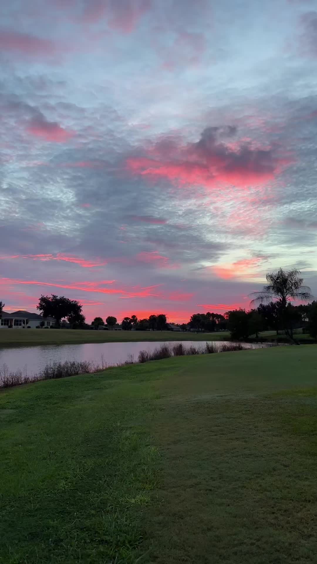 @masterzapata7dan