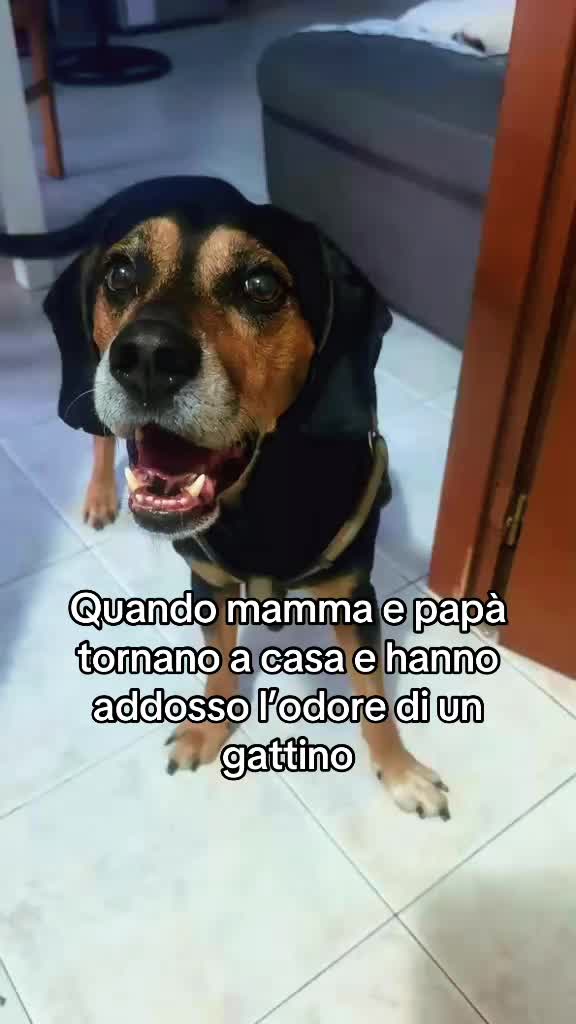 @La famiglia Ognibene