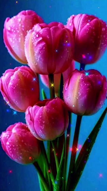 @❤️🌹Moni🌹❤️