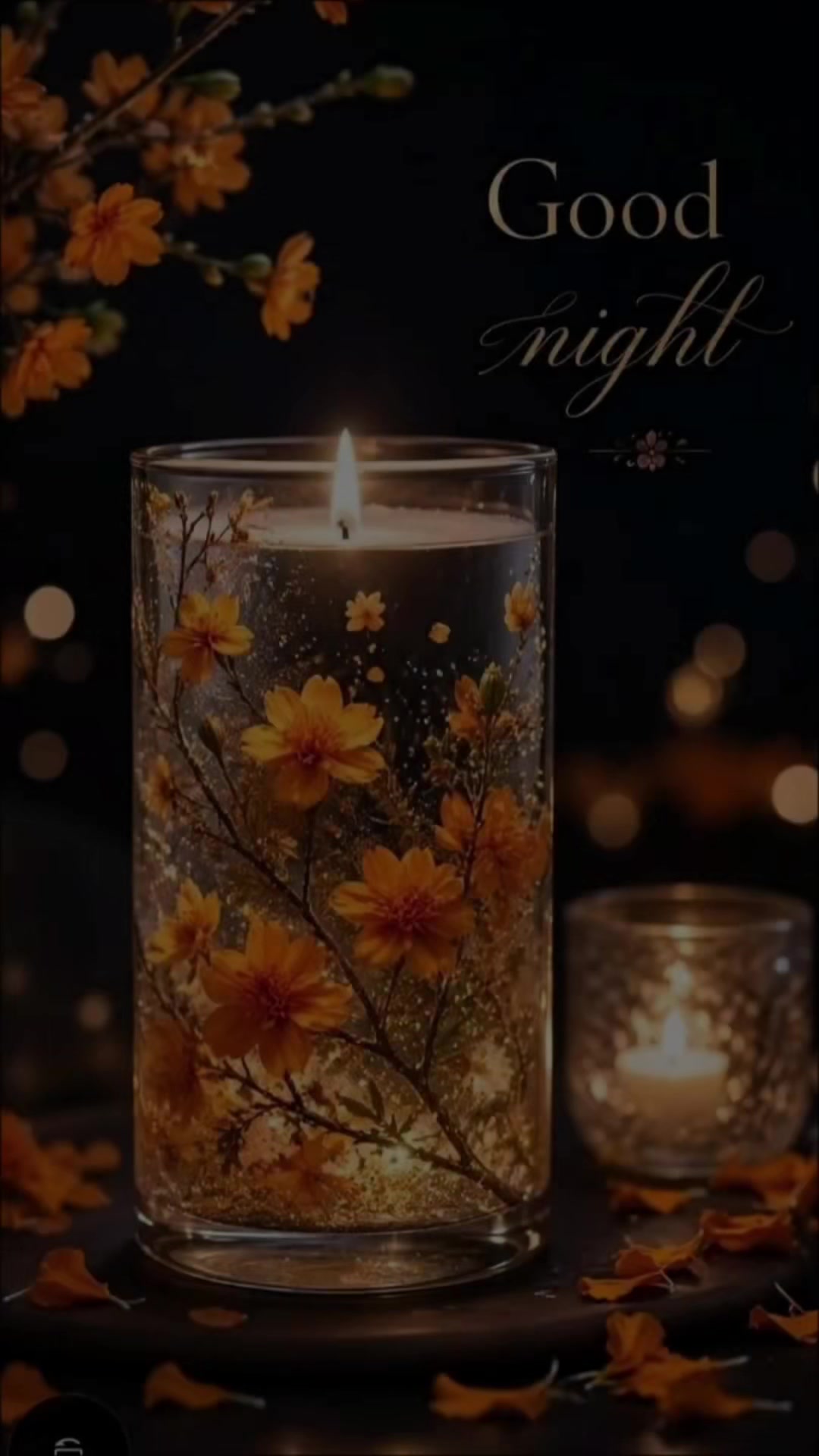 @angel001