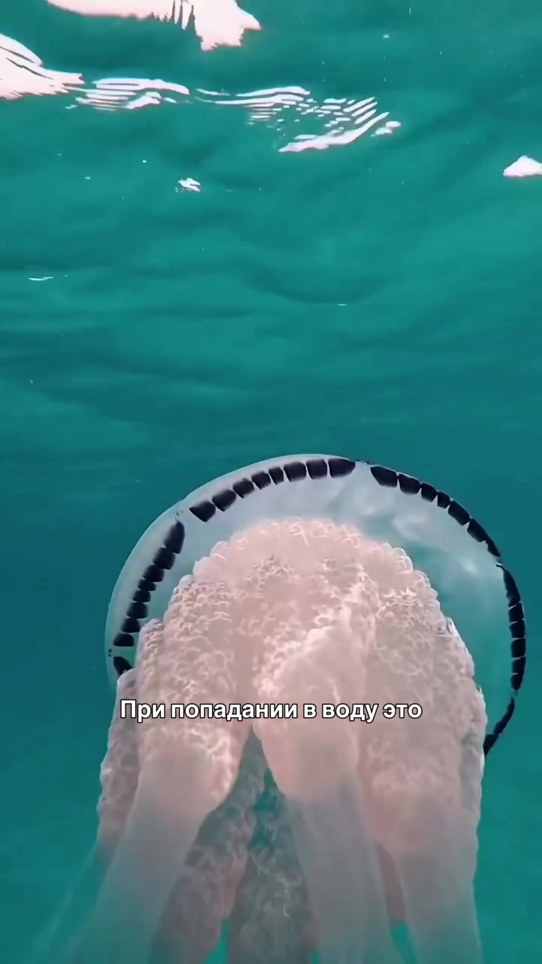 @тгк кружок всратых интересов