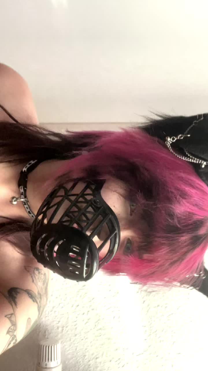 @raccoon_diaries